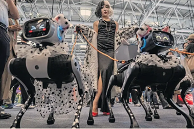 Chinese Robot Dogs