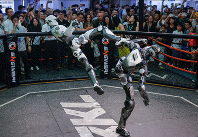 Chinese Robot 