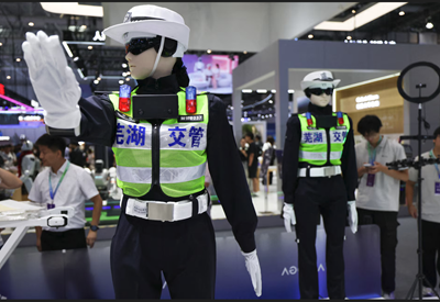 Chinese Robot